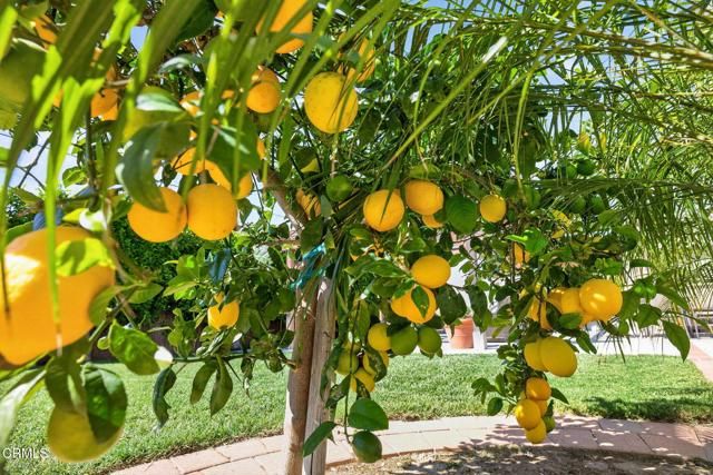 5840 Hunter Street, Ventura, CA 93003