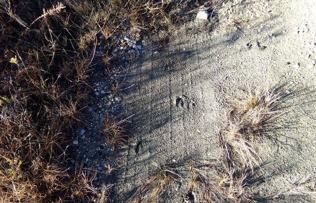 4580 Mt Gallant Road, Rock Hill, SC 29732