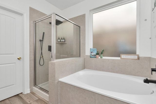 24834 Puccini Place, Katy, TX 77493