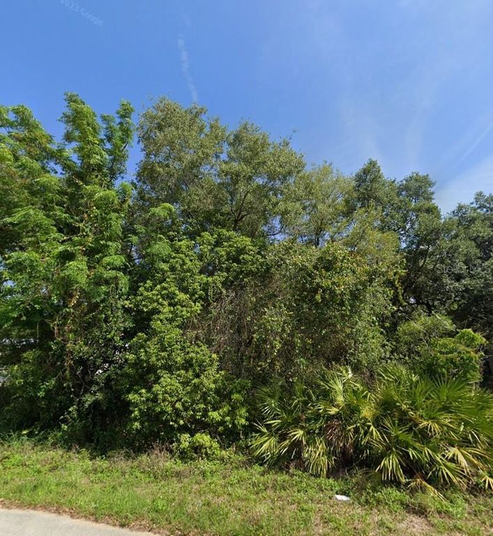 2521 CATFISH COURT, Lake Wales, FL 33898