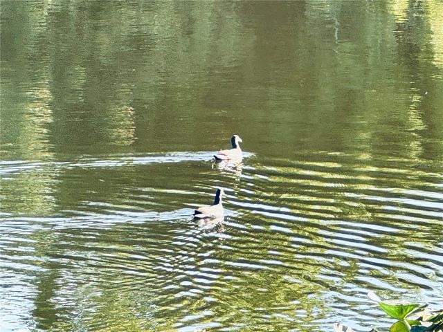 2604 HIDDEN LAKE DRIVE N 2604B, Sarasota, FL 34237