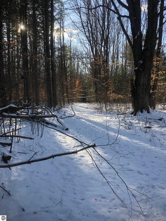 Image 6 of property listing at 00 M-72, Kalkaska, MI 49646