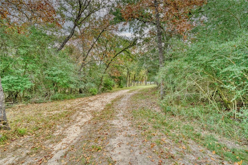 10232 Riley Green Road, Franklin, TX 77856 — photo 2