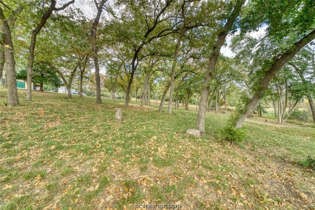 10232 Riley Green Road, Franklin, TX 77856 — photo 5