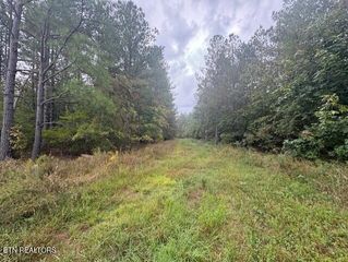 318 Rhodas Way, Sunbright, TN 37872