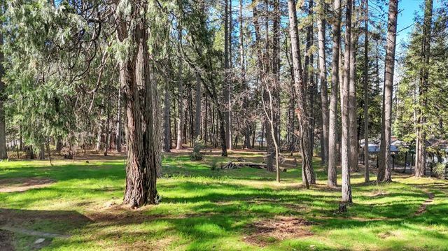 10856 Terrace Pines Ct, Grass Valley, CA 95945