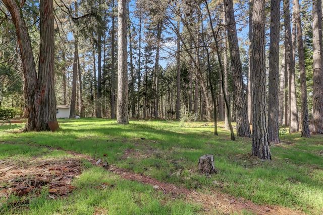 10856 Terrace Pines Ct, Grass Valley, CA 95945