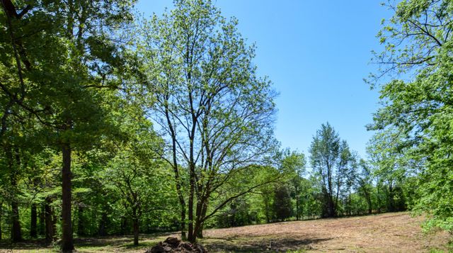 430 South Rd, Cottontown, TN 37048