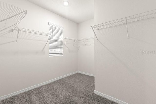31470 PENNY SURF LOOP, Wesley Chapel, FL 33545