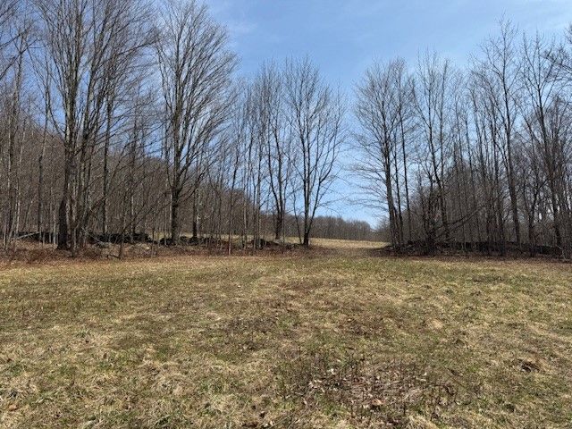 Lot 2 Doig Hollow Road, Andes, NY 13731