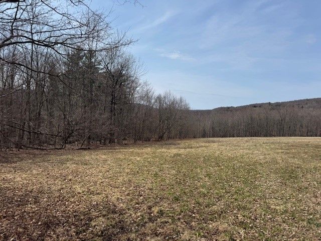 Lot 2 Doig Hollow Road, Andes, NY 13731