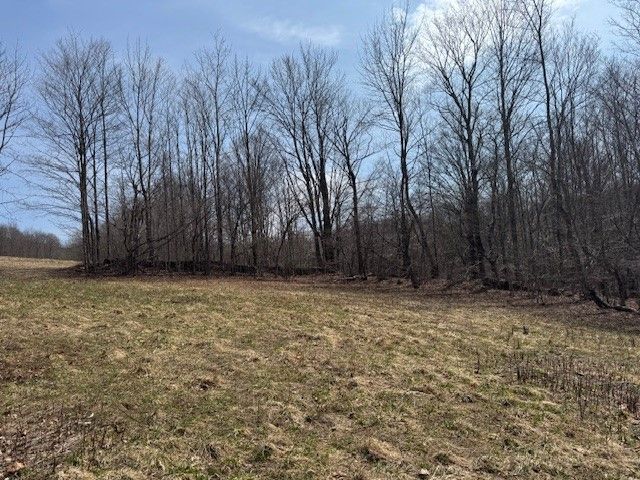 Lot 2 Doig Hollow Road, Andes, NY 13731