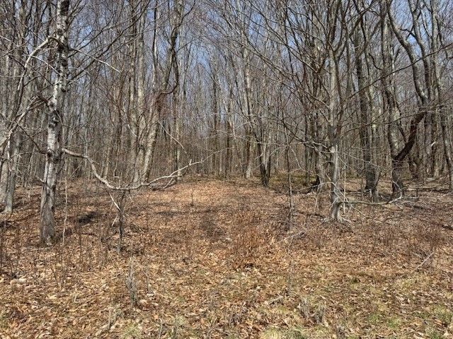 Lot 2 Doig Hollow Road, Andes, NY 13731