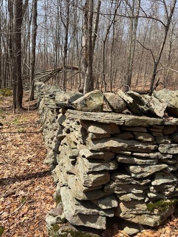 Lot 2 Doig Hollow Road, Andes, NY 13731