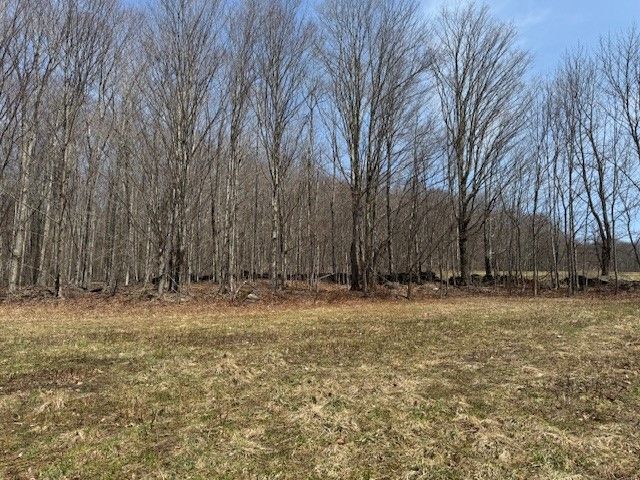 Lot 2 Doig Hollow Road, Andes, NY 13731