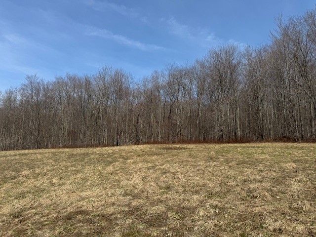 Lot 2 Doig Hollow Road, Andes, NY 13731