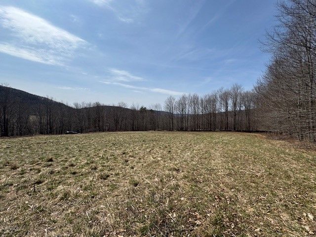 Lot 2 Doig Hollow Road, Andes, NY 13731
