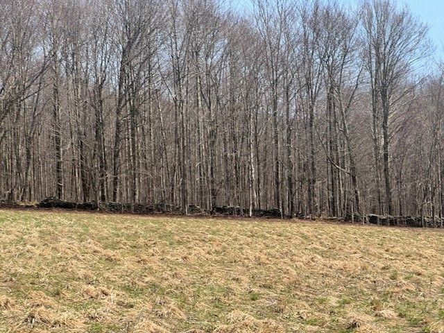 Lot 2 Doig Hollow Road, Andes, NY 13731