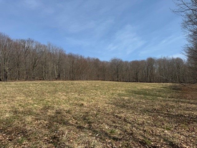 Lot 2 Doig Hollow Road, Andes, NY 13731