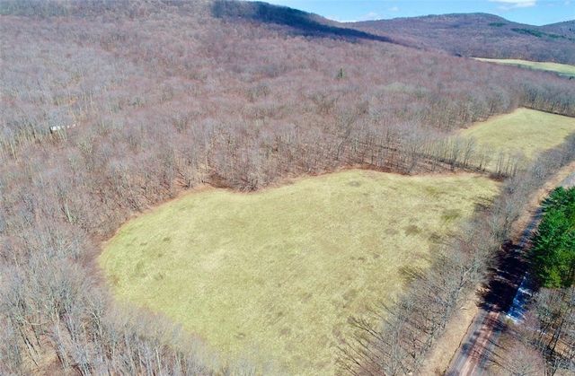 Lot 2 Doig Hollow Road, Andes, NY 13731