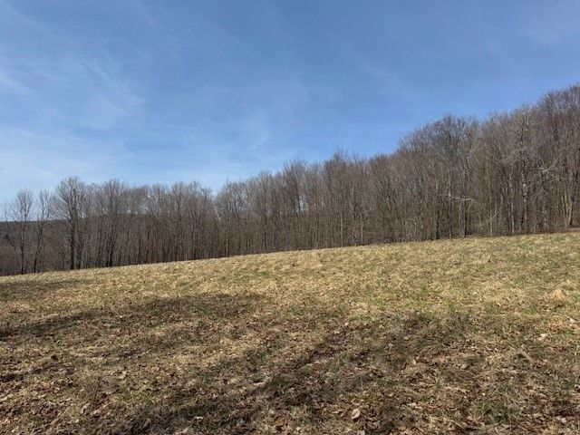 Lot 2 Doig Hollow Road, Andes, NY 13731