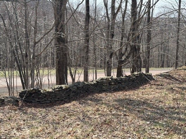 Lot 2 Doig Hollow Road, Andes, NY 13731