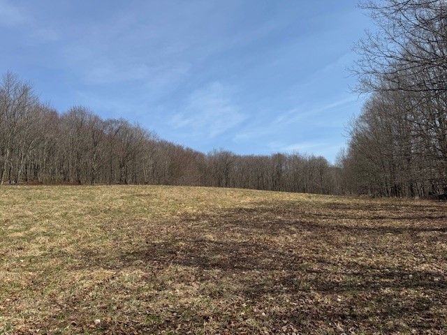 Lot 2 Doig Hollow Road, Andes, NY 13731