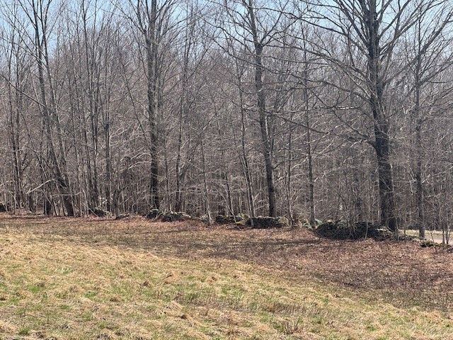 Lot 2 Doig Hollow Road, Andes, NY 13731