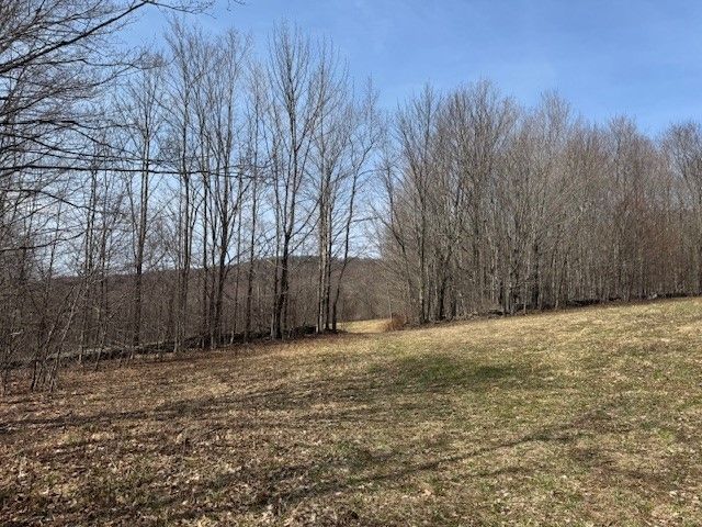 Lot 2 Doig Hollow Road, Andes, NY 13731