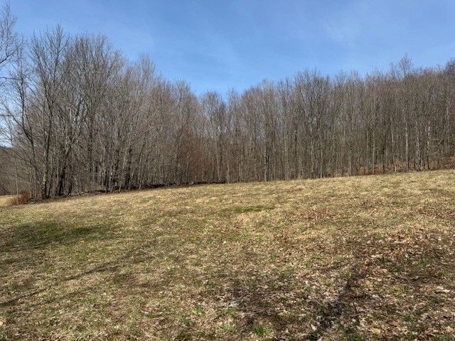 Lot 2 Doig Hollow Road, Andes, NY 13731