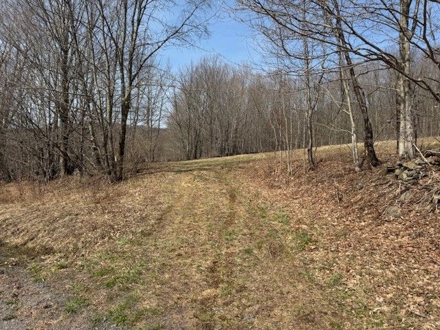 Lot 2 Doig Hollow Road, Andes, NY 13731