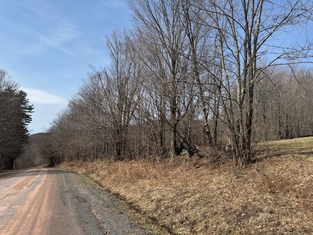 Lot 2 Doig Hollow Road, Andes, NY 13731