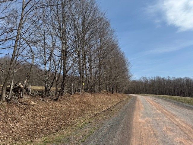 Lot 2 Doig Hollow Road, Andes, NY 13731