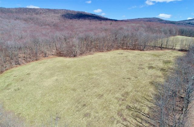 Lot 2 Doig Hollow Road, Andes, NY 13731