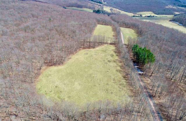 Lot 2 Doig Hollow Road, Andes, NY 13731