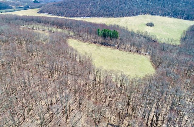 Lot 2 Doig Hollow Road, Andes, NY 13731