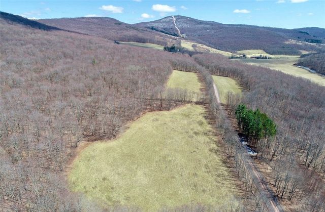Lot 2 Doig Hollow Road, Andes, NY 13731