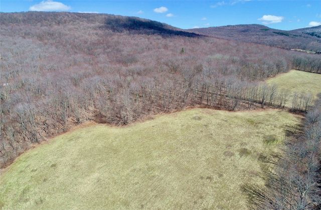 Lot 2 Doig Hollow Road, Andes, NY 13731