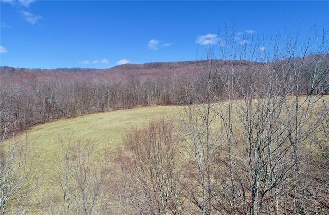 Lot 2 Doig Hollow Road, Andes, NY 13731
