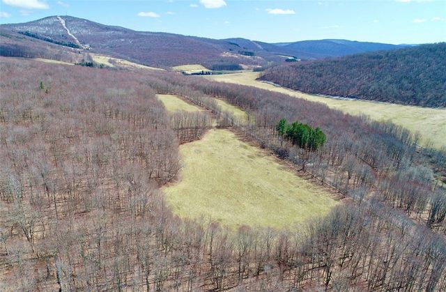 Lot 2 Doig Hollow Road, Andes, NY 13731