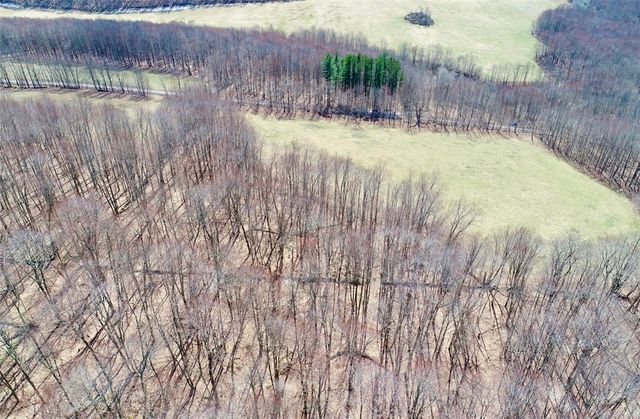 Lot 2 Doig Hollow Road, Andes, NY 13731