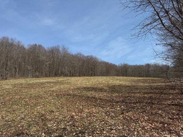Lot 2 Doig Hollow Road, Andes, NY 13731