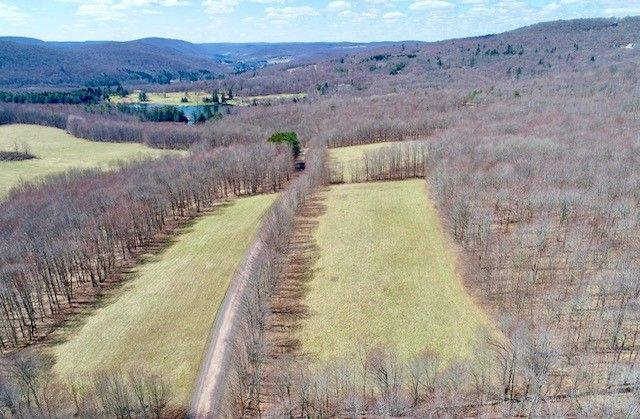 Lot 2 Doig Hollow Road, Andes, NY 13731