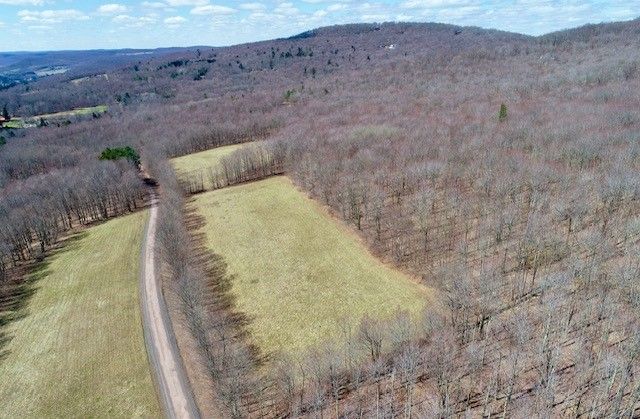 Lot 2 Doig Hollow Road, Andes, NY 13731