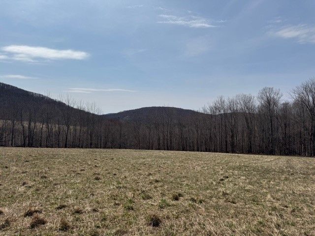 Lot 2 Doig Hollow Road, Andes, NY 13731