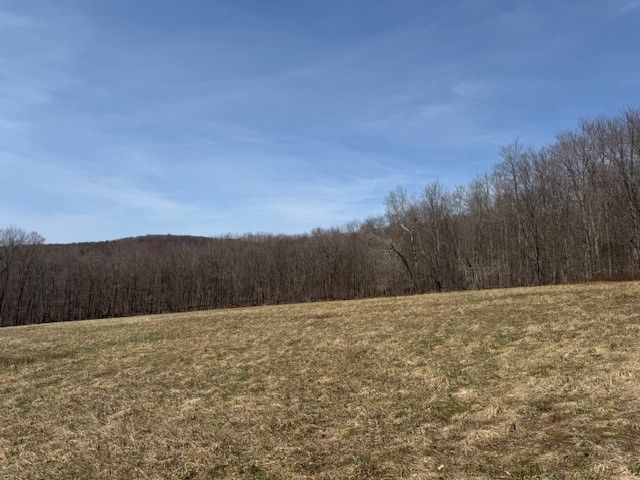 Lot 2 Doig Hollow Road, Andes, NY 13731
