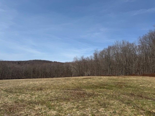 Lot 2 Doig Hollow Road, Andes, NY 13731