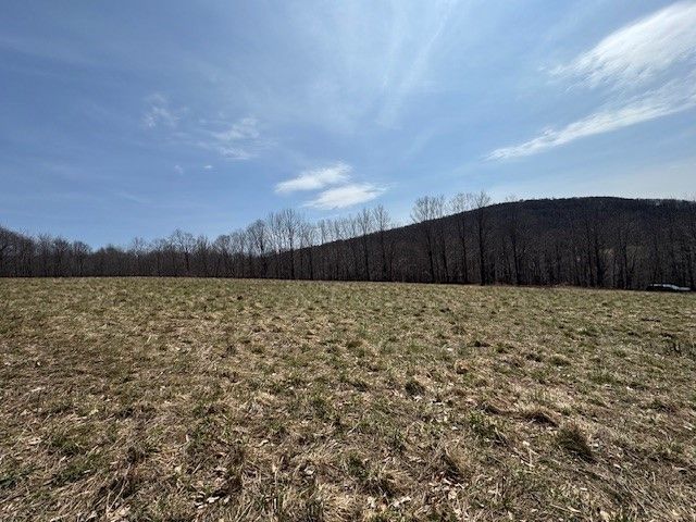 Lot 2 Doig Hollow Road, Andes, NY 13731