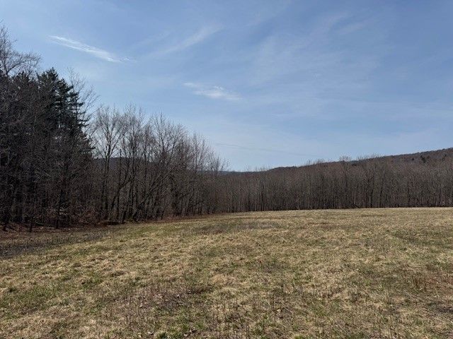 Lot 2 Doig Hollow Road, Andes, NY 13731