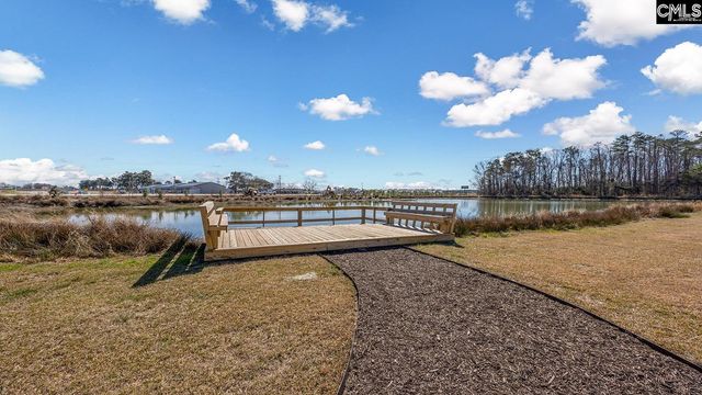 313 Babcock Way, Gilbert, SC 29054